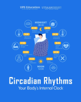 Circadian Rhythms.pdf